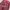Stussy Streetwear Y2K Jeans Pria burgundy photo 6