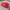 Melissa Streetwear Sandals & slide Wanita red photo 1