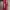 Melissa Streetwear Sandals & slide Wanita red photo 3