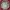 Japanese brand Y2K Casual Windbreaker Pria green photo 1