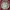 Japanese Brand Y2K Casual Windbreaker Pria Green