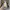Nike Sportswear Sneakers Pria multicolor gray photo 5