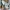 Nike Sportswear Sneakers Pria multicolor gray photo 7