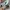 Nike Sportswear Sneakers Pria multicolor gray photo 4