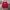 Abercrombie & Fitch Sportswear Suit Pria red photo 1