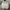 WHO.A.U Sportswear Suit Pria gray photo 1