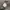 Nike Streetwear Sportswear Hoody Pria gray photo 4