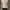 GAP Casual Shirt Wanita white photo 2