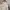 GAP Vintage Avant Garde Track jacket Pria cream photo 6