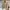 GAP Vintage Avant Garde Track jacket Pria cream photo 1