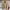 GAP Vintage Avant Garde Track Jacket Pria Cream
