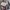 GAP Vintage Avant Garde Track jacket Pria cream photo 3