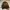 Nike Vintage Streetwear Windbreaker Pria gold photo 1