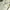 Casual Crop top Wanita cream photo 2