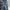 ZARA Vintage Casual Skinny jeans Wanita navy blue photo 1