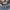 ZARA Vintage Casual Skinny jeans Wanita navy blue photo 4