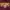 Russell Athletic Vintage Streetwear Hoody Pria burgundy photo 6