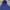 Champion Casual Sweater Pria navy photo 2
