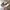 Vintage Hat Pria khaki photo 1