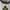 Skater Emo Sweater Pria gray photo 5