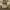 Vintage Streetwear Sweatshirt Pria khaki cream photo 4