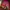 Gorpcore Grunge Puffer jacket Pria red black photo 2