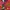 Gorpcore Grunge Puffer jacket Pria red black photo 5