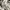 Armani	 Luxury Casual Bomber jacket Pria black photo 6