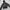Dolce & Gabbana Streetwear Sportswear Windbreaker Pria black photo 4