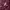 Victoria’s Secret Streetwear Hoody Wanita burgundy photo 6