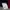 Beanpole Avant Garde Casual Sweater Pria silver red photo 4