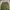 Nike Streetwear Y2K Tracksuit Pria green photo 4