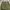 Nike Streetwear Y2K Tracksuit Pria green photo 5