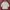 Yves Saint Laurent YSL Vintage Luxury Harrington jacket Pria tan photo 2