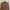 Armani	 Luxury Avant Garde Blazer Wanita brown photo 2