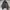 Nike Vintage Sportswear Windbreaker Pria green photo 1