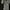 Japanese brand Coquette Maxi dress Wanita multicolor photo 2