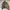 Marlboro Vintage Futurist Bomber jacket Pria gray photo 1
