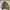 Marlboro Vintage Futurist Bomber Jacket Pria Gray