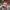 Casual Hat Wanita pink photo 1