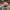 Casual Hat Wanita pink photo 2