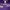 Playboy Avant Garde Hoody Pria purple photo 4