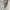 Lyle & Scott Casual Harrington jacket Pria cream photo 6