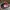Casual Hat Wanita pink photo 5