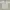 Polo Ralph Lauren Luxury Formal shirt Pria white photo 2