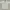 Polo Ralph Lauren Luxury Formal Shirt Pria White