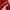 Japanese brand Streetwear Biker Harrington jacket Pria red photo 4