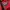 Japanese brand Streetwear Biker Harrington jacket Pria red photo 6