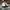 Casual Hat Pria white black photo 4