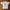 Streetwear Sportswear T-shirt Pria White